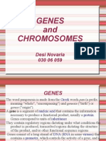 GENEs N Cromosomes