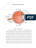 RETINA ANATOMI