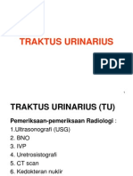 Traktus Urinarius 