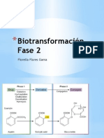 Biotransformación del Paracetamol: glucuronidación, sulfación y conjugado glutation