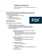 ADQUISICIx DE LA ESPACIALITAT PDF