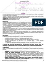 Hernia Diafragmática Congénita PDF