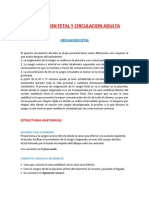 CIRCULACION FETAL Y CIRCULACION ADULTA - Bernal