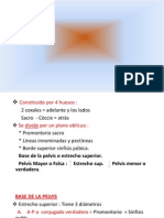 Pelvis.pdf