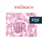 atlas histologia.pdf