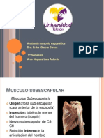 Musculos