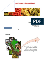 resources-promo-Junin-Perú-Alvaro-Díaz-Bedregal.pdf