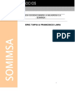 t-030_cons_plan-negocio-SOMIMSA.pdf