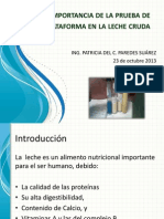 Pruebas_Plataforma_LecheCruda (1).pdf