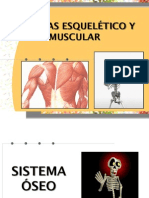 Presentac Sist Musculo-Esqueletico PDF