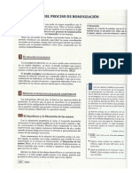 Analisis Proceso de Hominizacion PDF