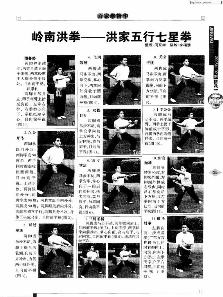 岭南洪拳洪家五行七星拳PDF | PDF