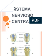 Sistema Nervioso Central