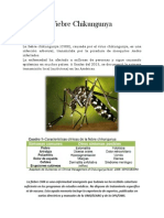 Fiebre Chikungunya.docx
