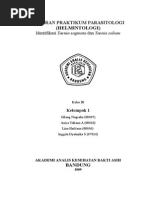 Download LAPORAN PARASITOLOGI Taenia spdoc by Rachmat Karya SN242024254 doc pdf