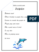 Kiarah Dolphin