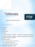 Inflamatia
