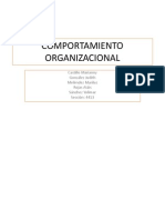 Comportamiento Organizacional