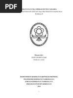 Download Perawatan Luka Operasi Sectio Caesarea Puput by Wulan Gunawan SN242050449 doc pdf