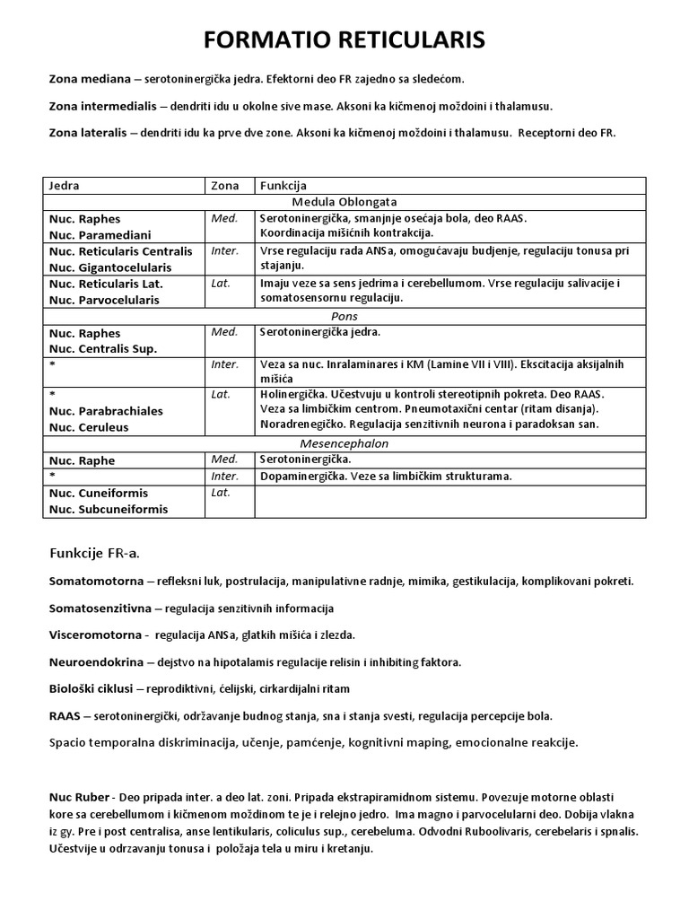 Formatio Reticularis PDF | PDF