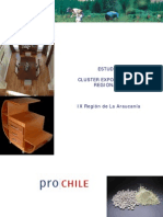 Cluster Araucania PDF