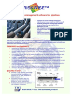 Riskwise Pipep PDF