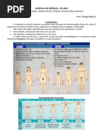 Apostila de Ciências - Puberdade e Genitais.pdf