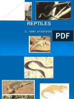Reptiles PDF