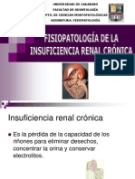 Insuficiencia Renal Crónica: Causas, Etapas y Alteraciones Metabólicas