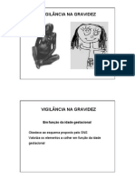 vigilancia_gravidez.pdf