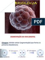 Embriologia Revisão