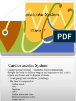 CH17 Cardiovascular Assessment - Nk07