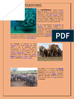 Cardumen Curro PDF