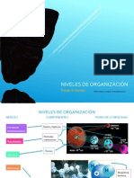 NIVELES DE ORGANIZACIÓN.docx