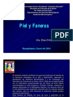 Histologiapielyfaneras PDF