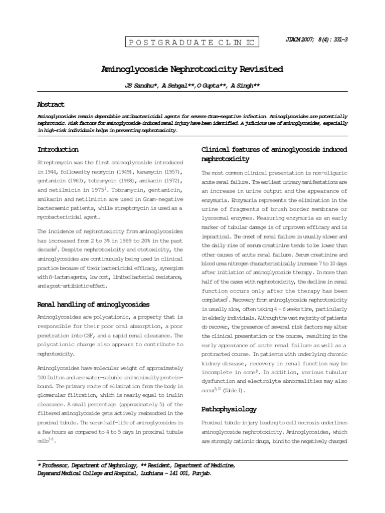 Aminoglycoside Nephrotoxicity | PDF | Renal Function | Kidney