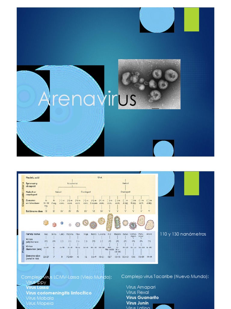 Arenavirus: Tipos y Enfermedades Asociadas | PDF | Virus | Microbiología
