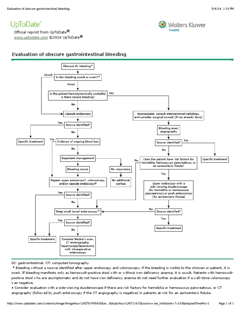 Obscure Gastrointestinal Bleeding | PDF