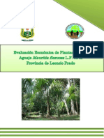 Evaluación Económica de Plantaciones de Aguaje Mauritia Flexuosa L