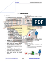 81738288-La-Circulacion-Economica.pdf