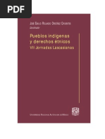 Pueblos Indigenas Y Derechos Etnicos-Ordoñez Jose Emilio.pdf