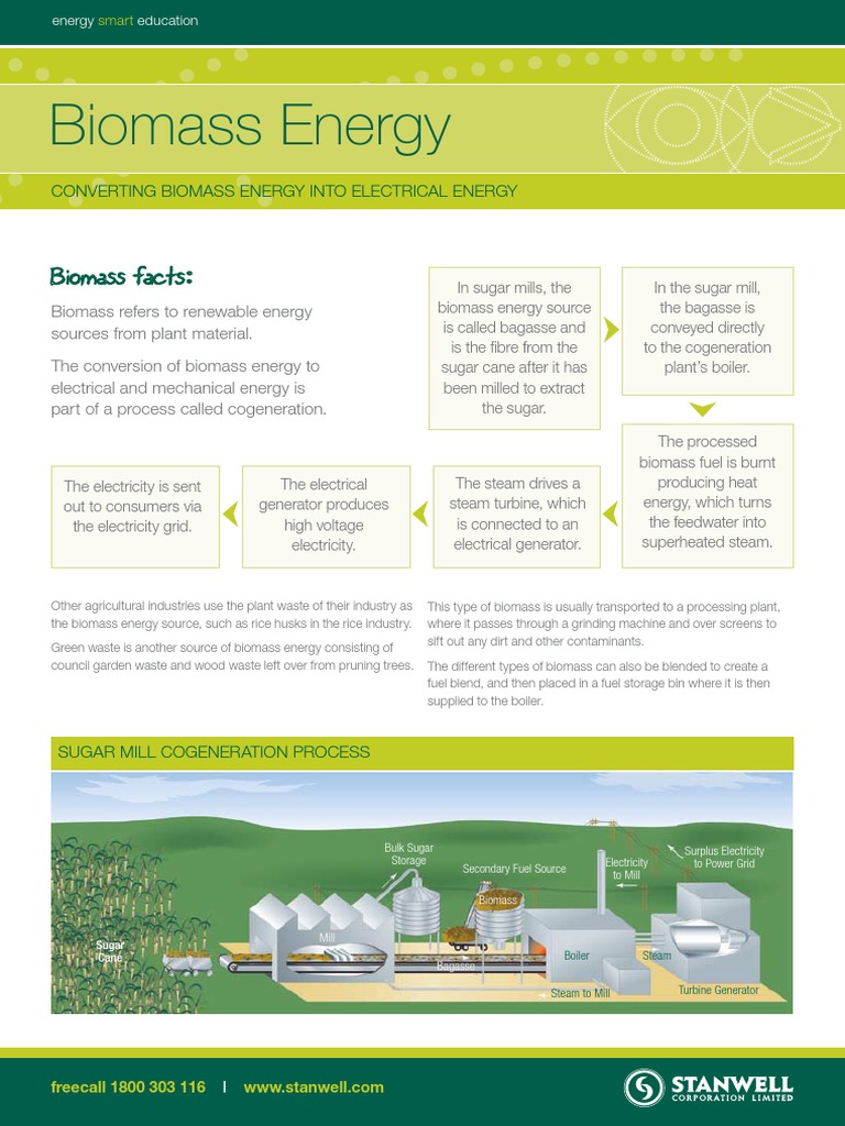 Biomass Energy | PDF | Sugarcane | Biomass