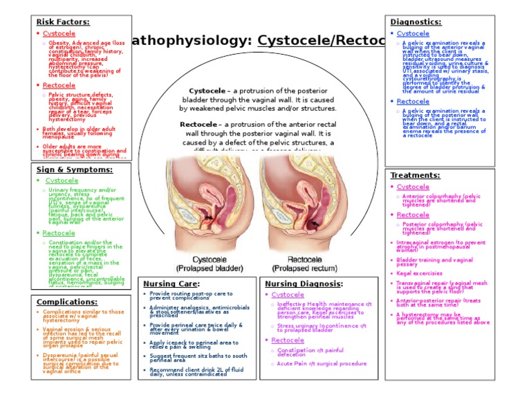 Cystocele and Rectocele Overview | PDF | Urinary Incontinence | Human ...