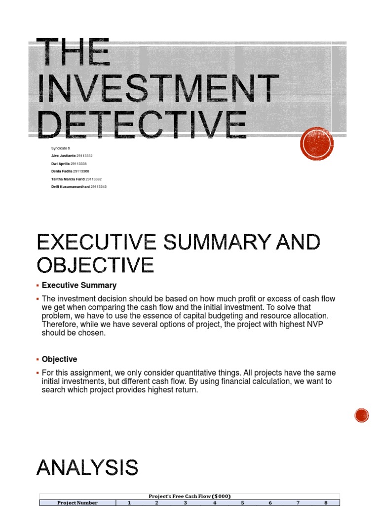 Investment Detective