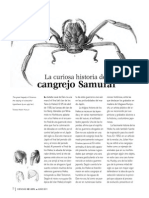 La curiosa historia del cangrejo Samurai