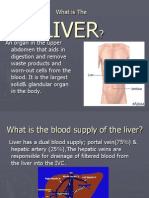 The Liver: Anatomy, Blood Supply, Imaging and More