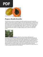 Papaya Health Benefits