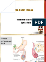 Katabolisme Asam Lemak