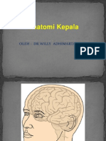Anatomi Kepala: Oleh: DR - Willy Adhimarta, SP - Bs