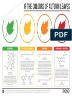 The Chemistry of The Colours of Autumn Leaves